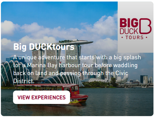 Big DUCKtours